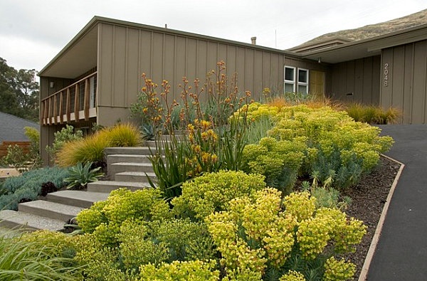 modern-plants-for-front-of-house-82_3 Модерни растения за предната част на къщата