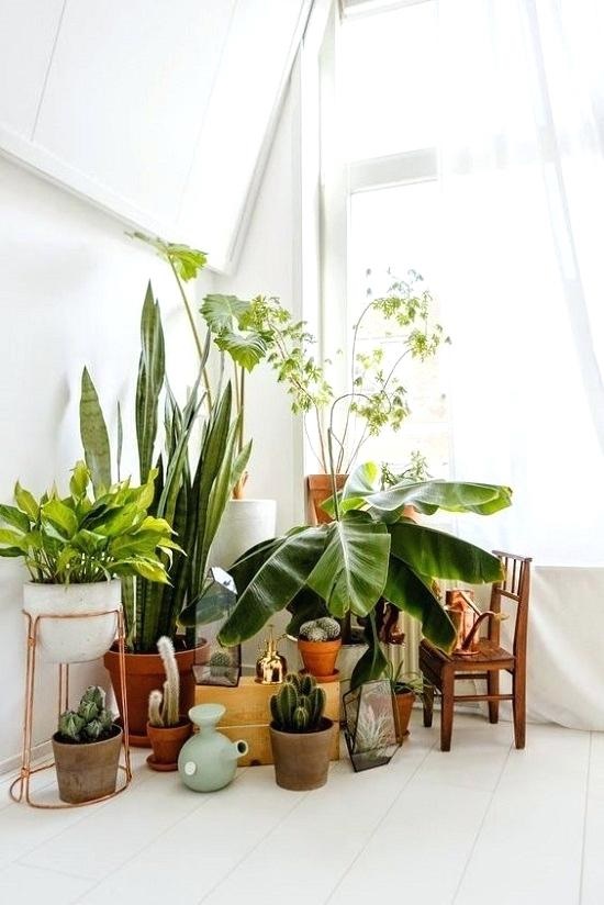 plant-decoration-ideas-30 Идеи за декорация на растения