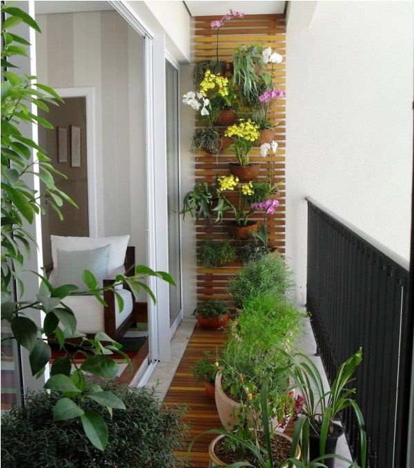 plants-for-apartment-balcony-98_19 Растения за апартамент балкон