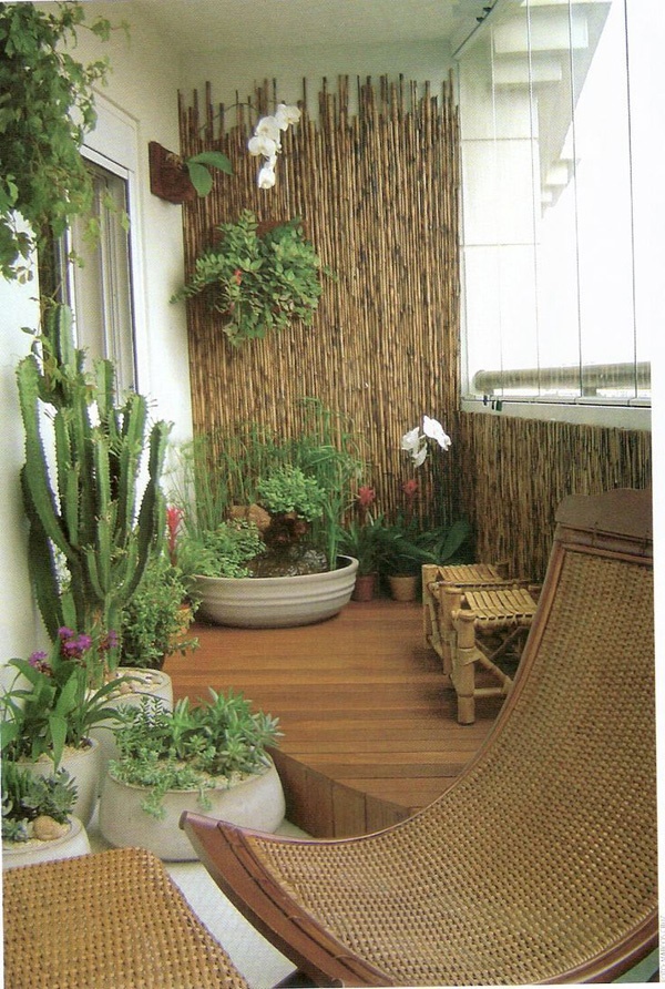 plants-for-apartment-balcony-98_3 Растения за апартамент балкон