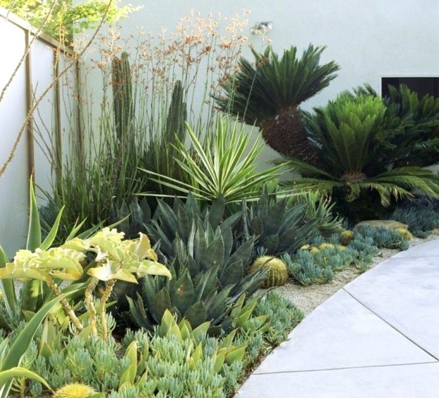 plants-for-contemporary-garden-design-08_12 Растения за съвременен градински дизайн