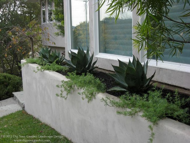 plants-for-contemporary-garden-design-08_15 Растения за съвременен градински дизайн