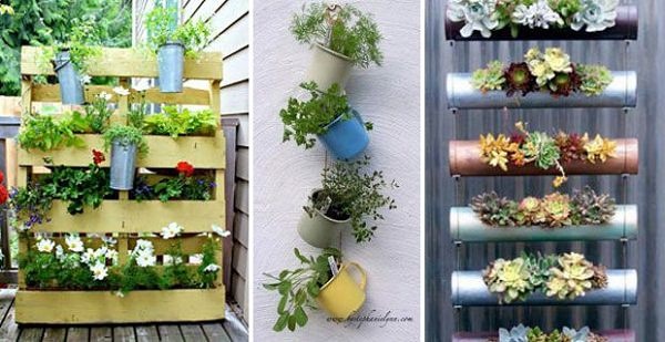 plants-for-small-balcony-20_10 Растения за малък балкон