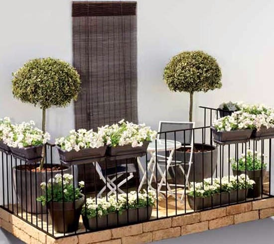 plants-for-small-balcony-20_12 Растения за малък балкон