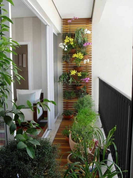 Растения за малък балкон