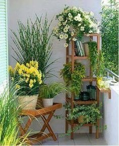 plants-in-balcony-ideas-31_14 Растения в балконски идеи