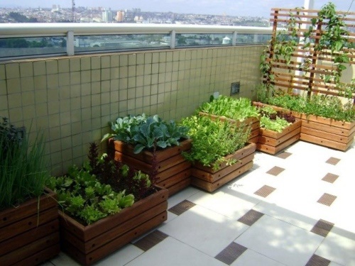 plants-in-balcony-ideas-31_4 Растения в балконски идеи