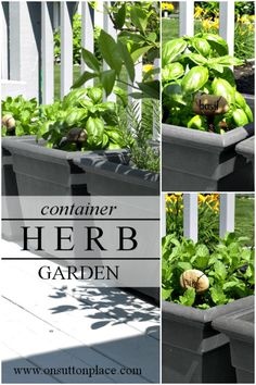 porch-herb-garden-ideas-98_8 Веранда билка градина идеи