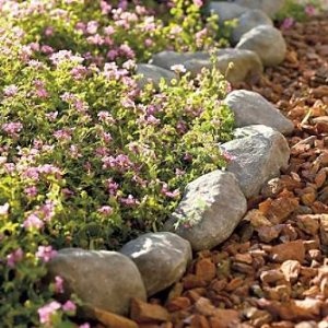 rocks-for-edging-flower-beds-12_7 Скали за Кант цветни лехи