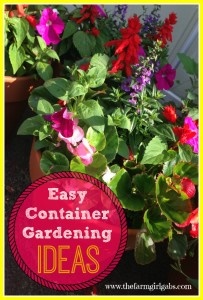 simple-container-gardening-ideas-04_13 Прост контейнер градинарство идеи