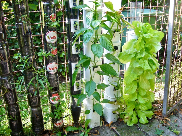 simple-container-gardening-ideas-04_16 Прост контейнер градинарство идеи