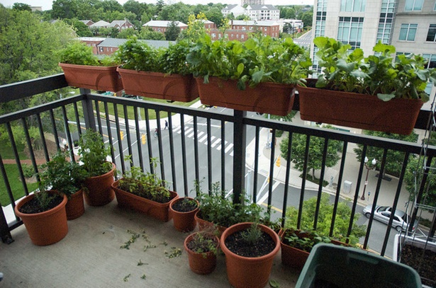 Прости идеи за градина с тераса
