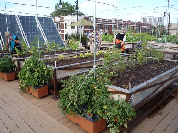 simple-terrace-garden-ideas-75_10 Прости идеи за градина с тераса