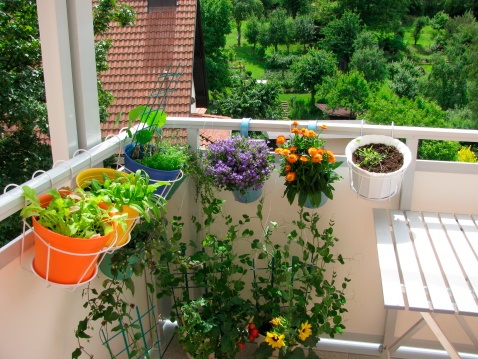 simple-terrace-garden-ideas-75_3 Прости идеи за градина с тераса