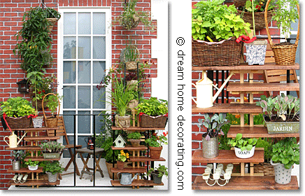 small-balcony-plants-42 Малки балконски растения