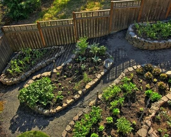small-home-vegetable-garden-ideas-75 Малък дом зеленчукова градина идеи
