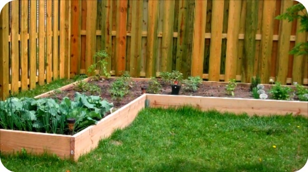 small-home-vegetable-garden-ideas-75_15 Малък дом зеленчукова градина идеи