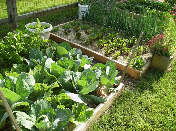 small-home-vegetable-garden-ideas-75_19 Малък дом зеленчукова градина идеи