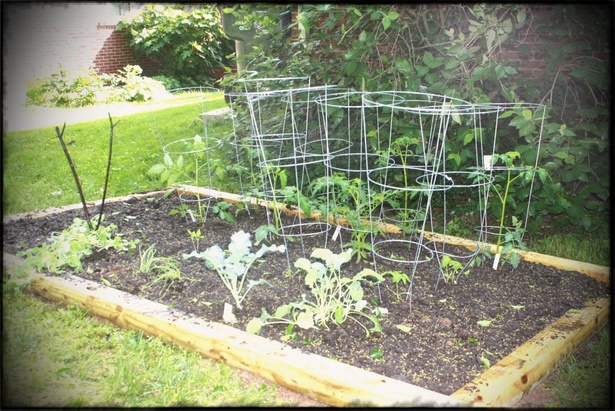 small-home-vegetable-garden-ideas-75_3 Малък дом зеленчукова градина идеи