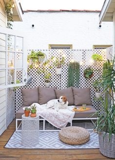 tiny-patio-74_5 Малък вътрешен двор