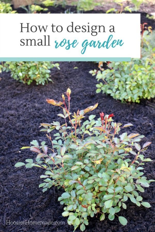 design-your-own-small-garden-41_4 Създайте своя собствена малка градина