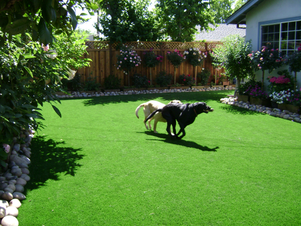 dog-landscaping-ideas-for-small-yards-50 Куче озеленяване идеи за малки дворове