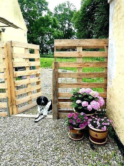 dog-landscaping-ideas-for-small-yards-50_12 Куче озеленяване идеи за малки дворове
