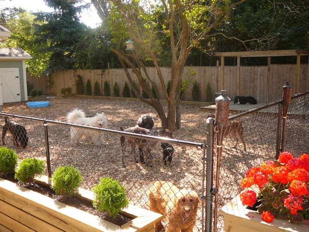 dog-landscaping-ideas-for-small-yards-50_4 Куче озеленяване идеи за малки дворове