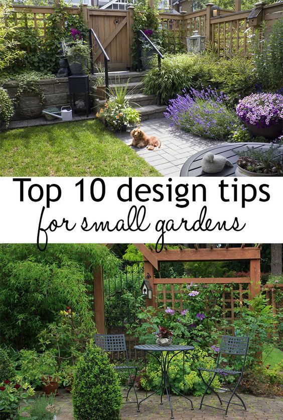 easy-ways-to-make-your-garden-look-good-00_10 Лесни начини да направите градината си да изглежда добре