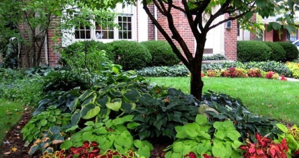 easy-ways-to-make-your-garden-look-good-00_5 Лесни начини да направите градината си да изглежда добре