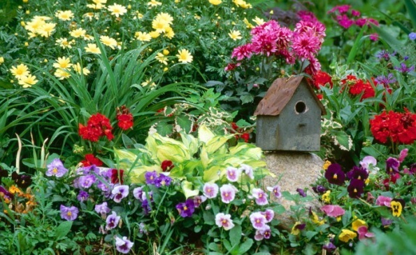 pictures-of-simple-flower-gardens-08_18 Снимки на прости цветни градини