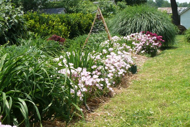 pictures-of-simple-flower-gardens-08_9 Снимки на прости цветни градини