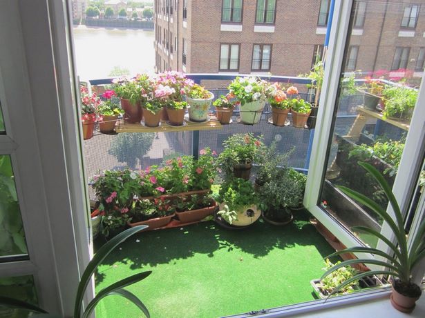 plants-for-small-apartment-balcony-11 Растения за малък апартамент балкон