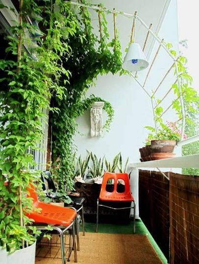 Растения за малък апартамент балкон