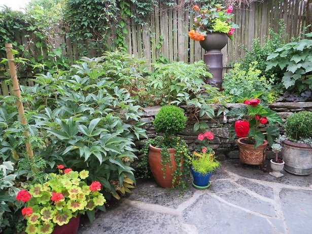 plants-for-small-patio-gardens-04_16 Растения за малки двор градини