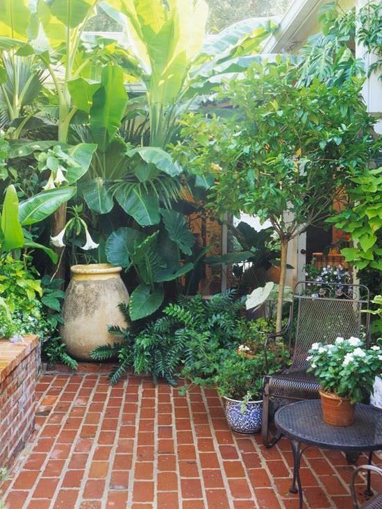 plants-for-small-patio-gardens-04_2 Растения за малки двор градини
