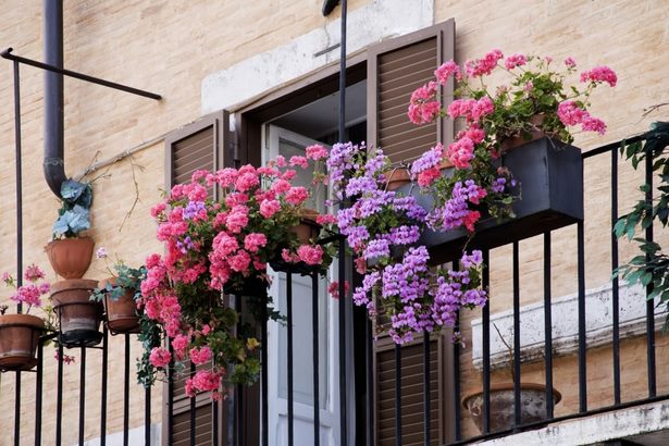 small-balcony-plant-ideas-67_10 Малки балконски идеи за растения