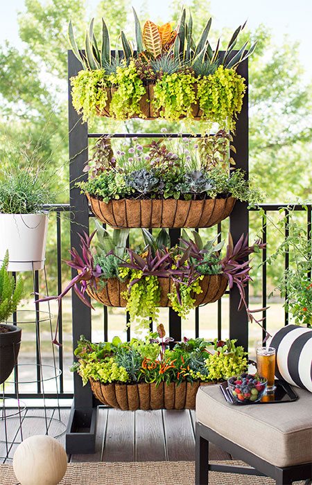 small-balcony-plant-ideas-67_11 Малки балконски идеи за растения
