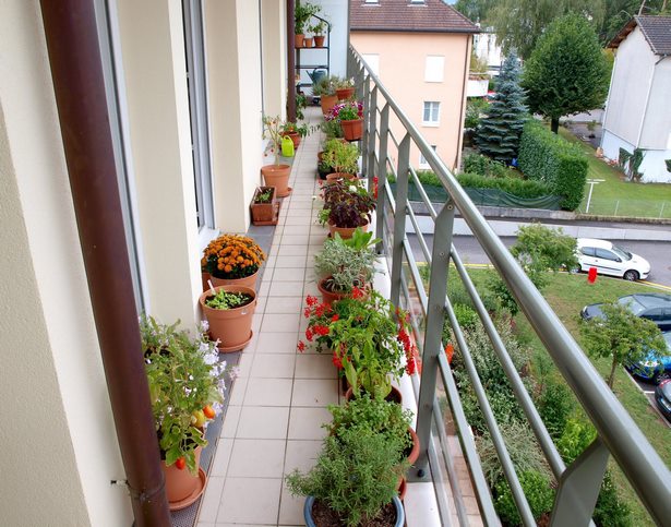 small-balcony-plant-ideas-67_4 Малки балконски идеи за растения