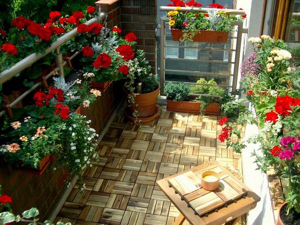 small-balcony-plant-ideas-67_7 Малки балконски идеи за растения