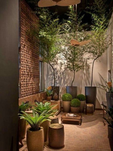 small-patio-plant-design-69_2 Малък вътрешен дизайн на растенията