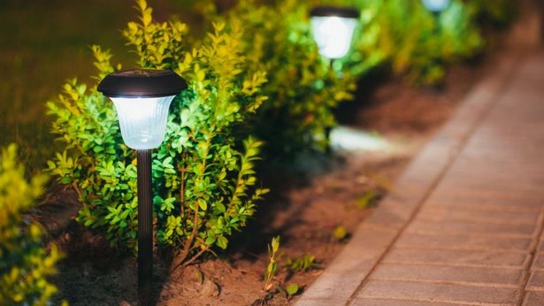 best-garden-spotlights-34_15 Най-добрите градински Прожектори