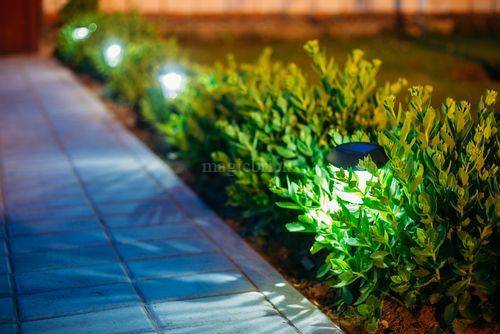 best-garden-spotlights-34_16 Най-добрите градински Прожектори