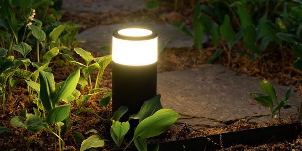 best-garden-spotlights-34_17 Най-добрите градински Прожектори