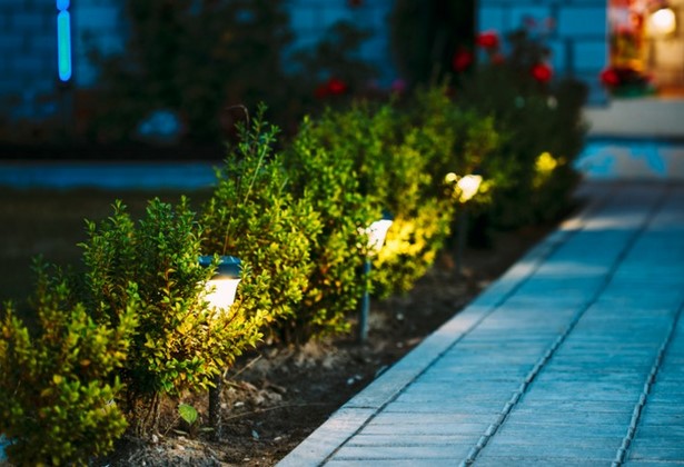 best-garden-spotlights-34_7 Най-добрите градински Прожектори
