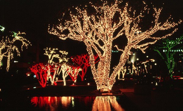 best-outdoor-lighting-for-christmas-01_3 Най-доброто външно осветление за Коледа