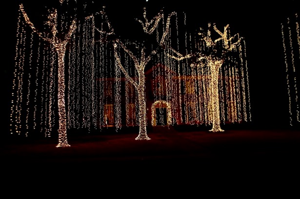 christmas-light-ideas-for-trees-21_15 Коледни идеи за елхи