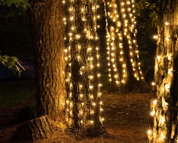 christmas-light-ideas-outdoor-tree-84_2 Коледна светлина идеи открито дърво