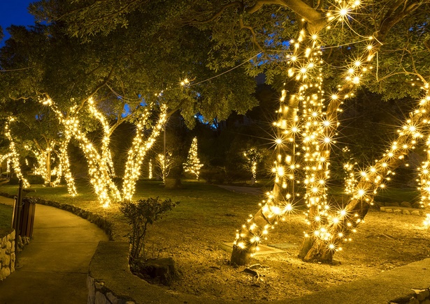 christmas-light-ideas-outdoor-tree-84_5 Коледна светлина идеи открито дърво