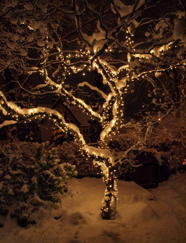 christmas-light-ideas-outdoor-tree-84_6 Коледна светлина идеи открито дърво